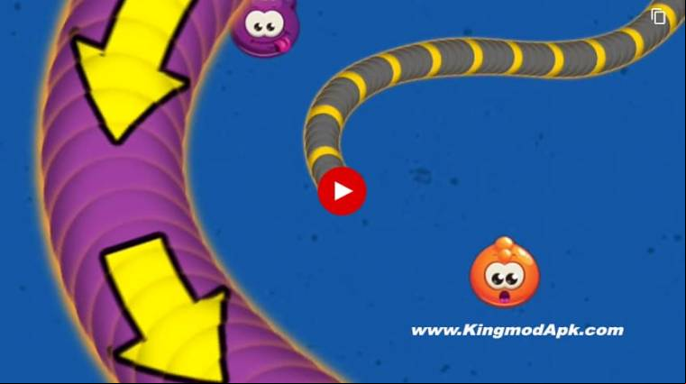 Worms Zone .io Voracious Snake Mod Apk