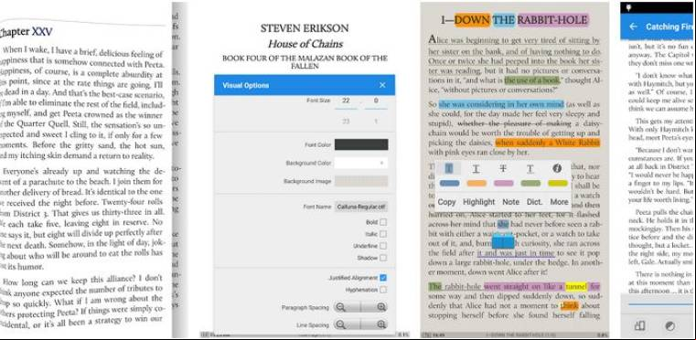 Moon+ Reader Pro